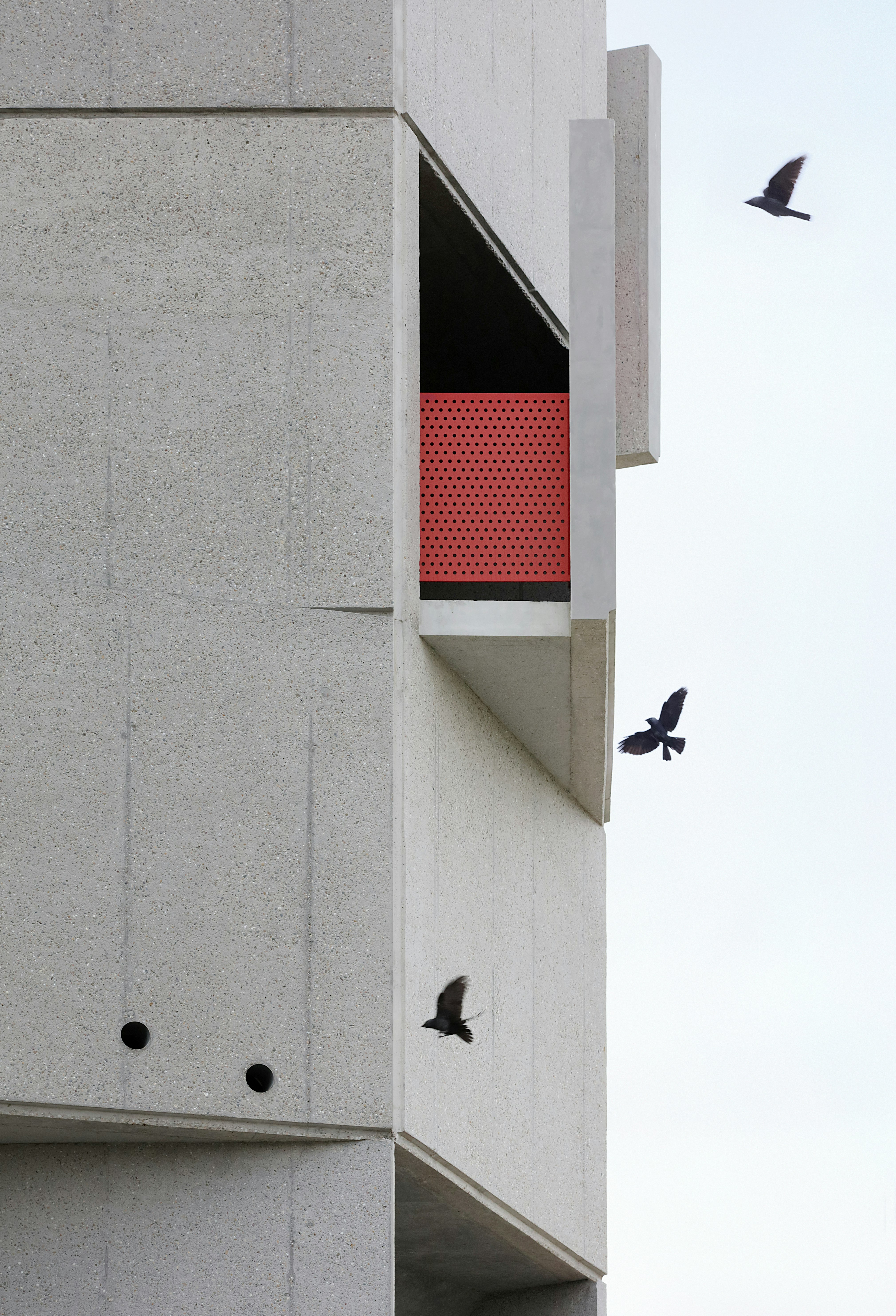 084 uitkijktoren Wonderwoud Lochristie Toren voor Dier en Mens