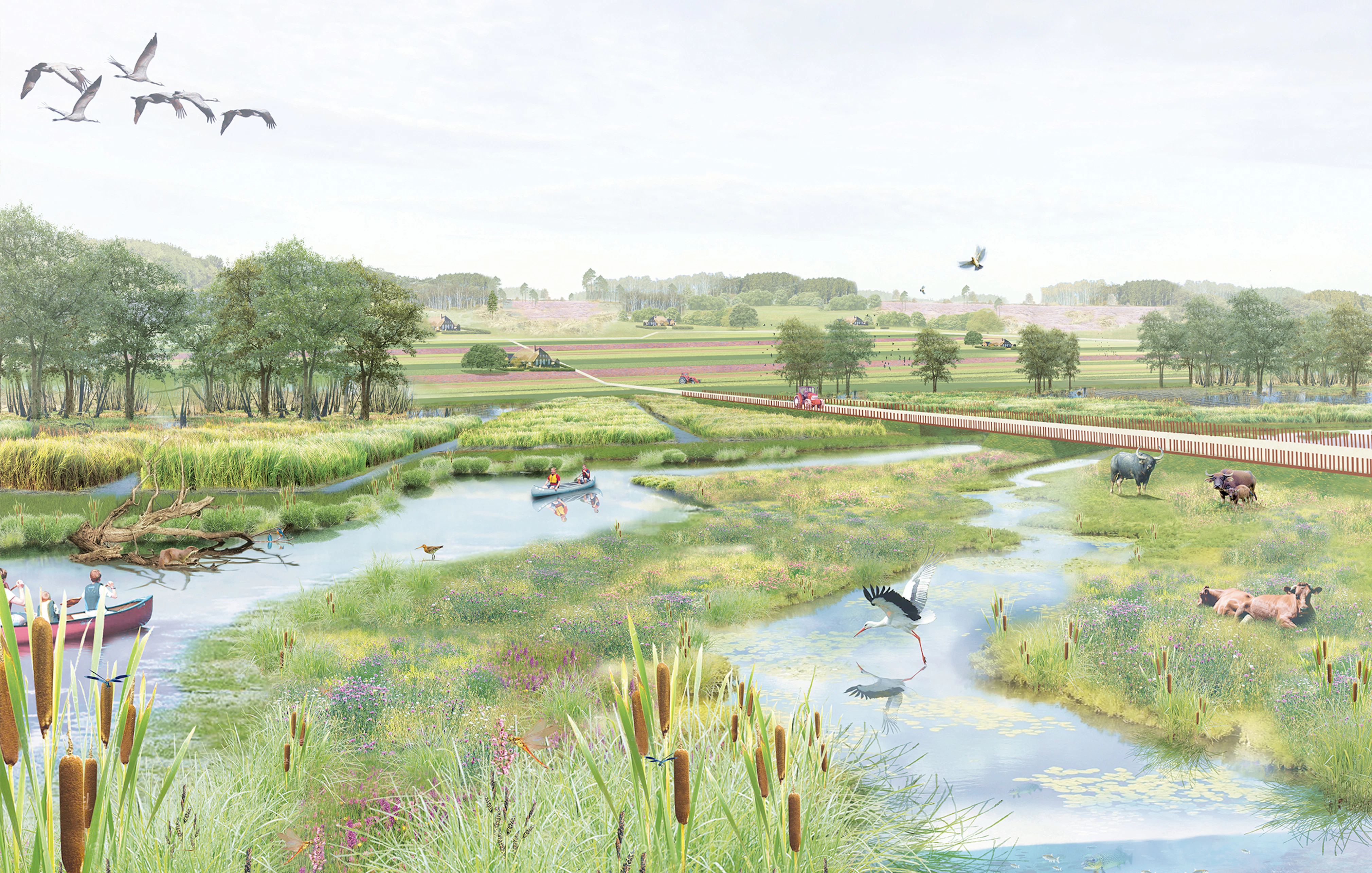 2024 de droge delta kleine nete 7