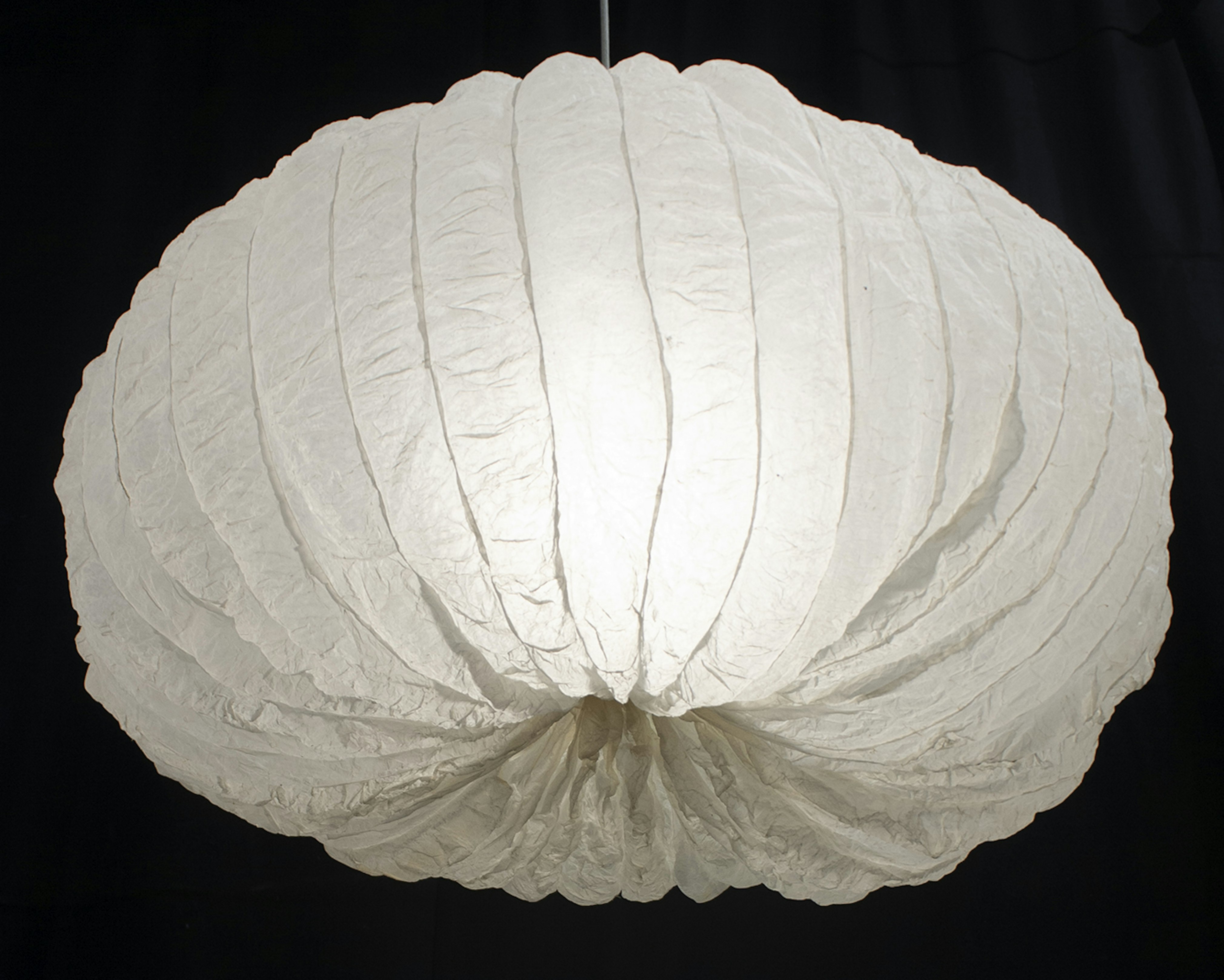 3 xavier servas pumpkin 3 xavier servas pumpkin