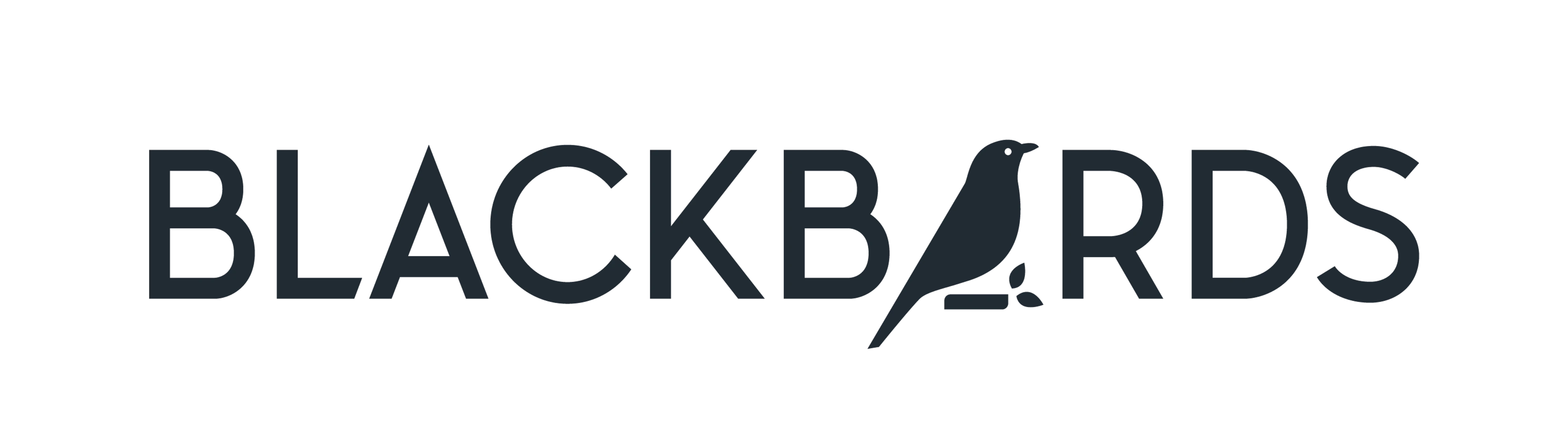 BLACKBIRDS LOGO BLACKBIRDS BLACK Product Designer