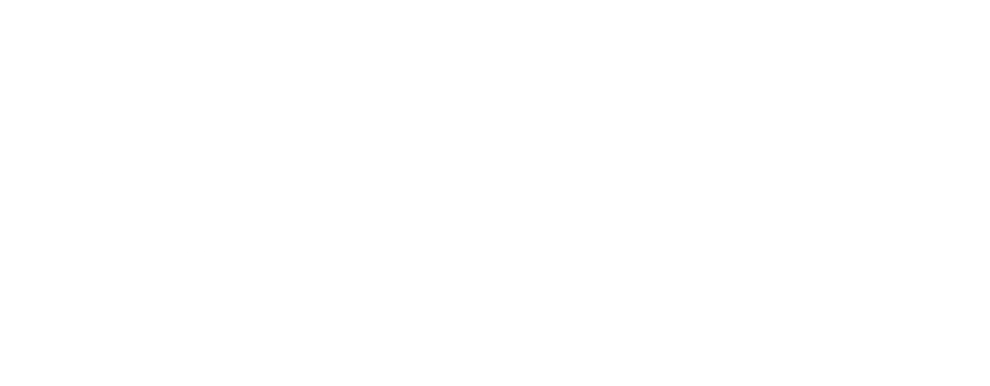 Bleckmann logo black no background