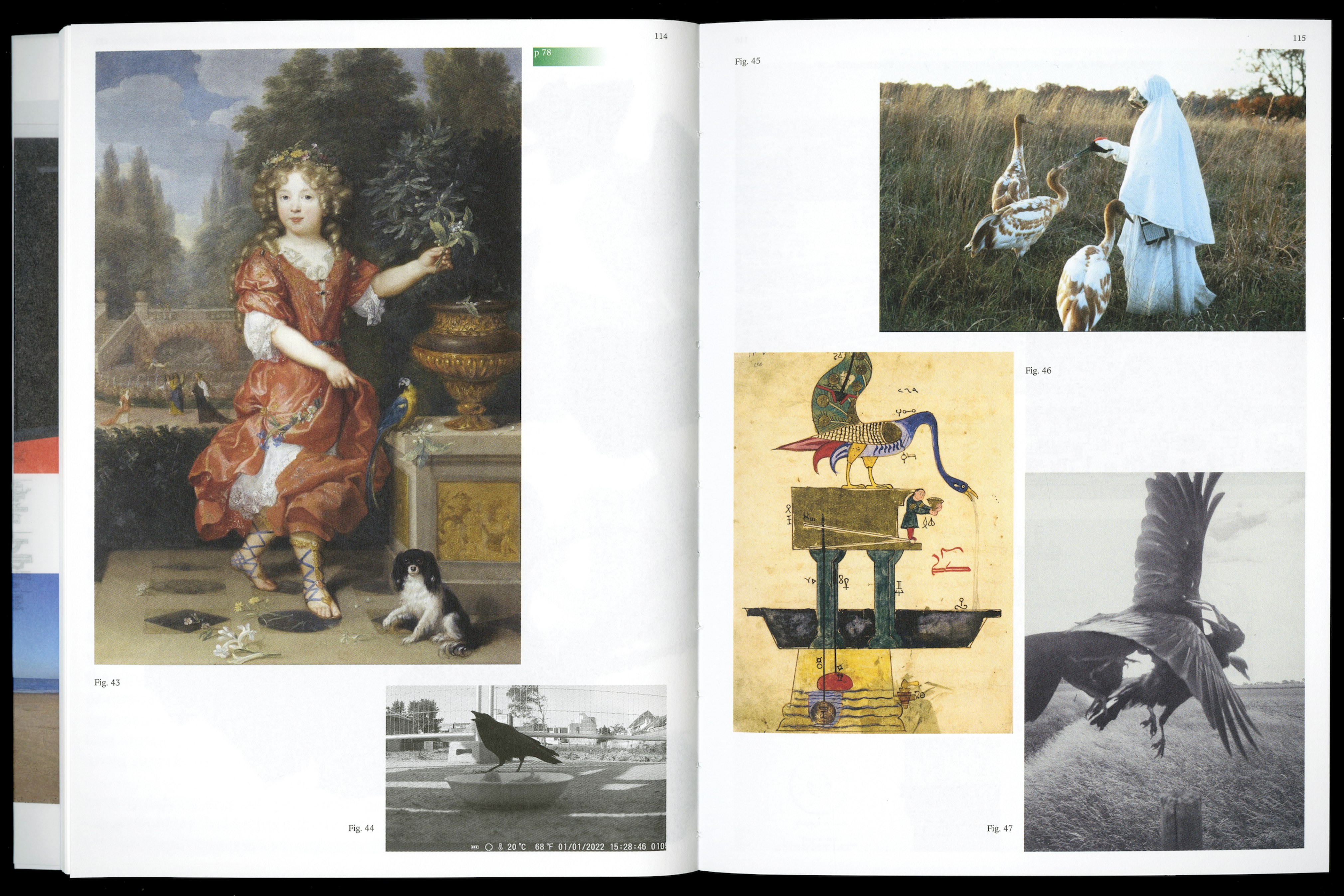 spread uit publicatie