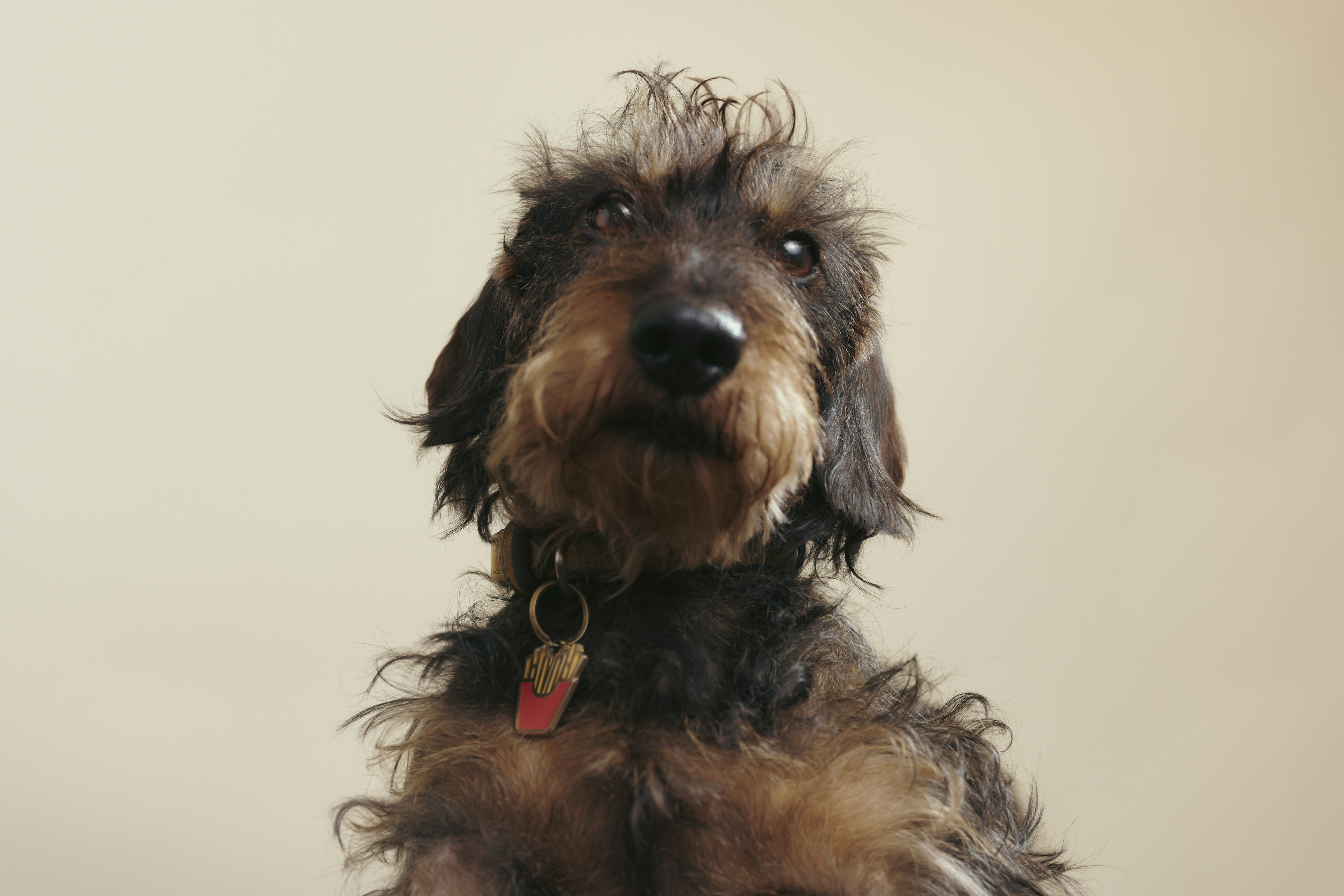 FLANDERS DC 2024 CRAYON 4