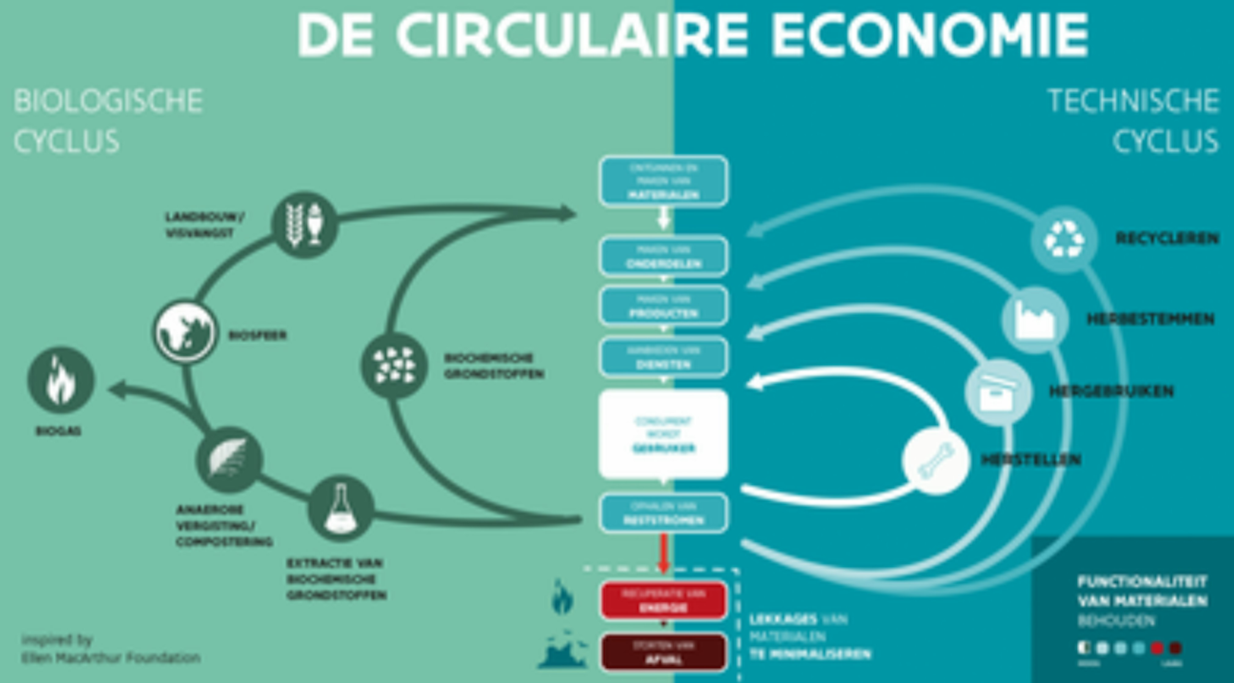 Het vlindermodel van de Ellen MacArthur Foundation Het vlindermodel van de Ellen MacArthur Foundation