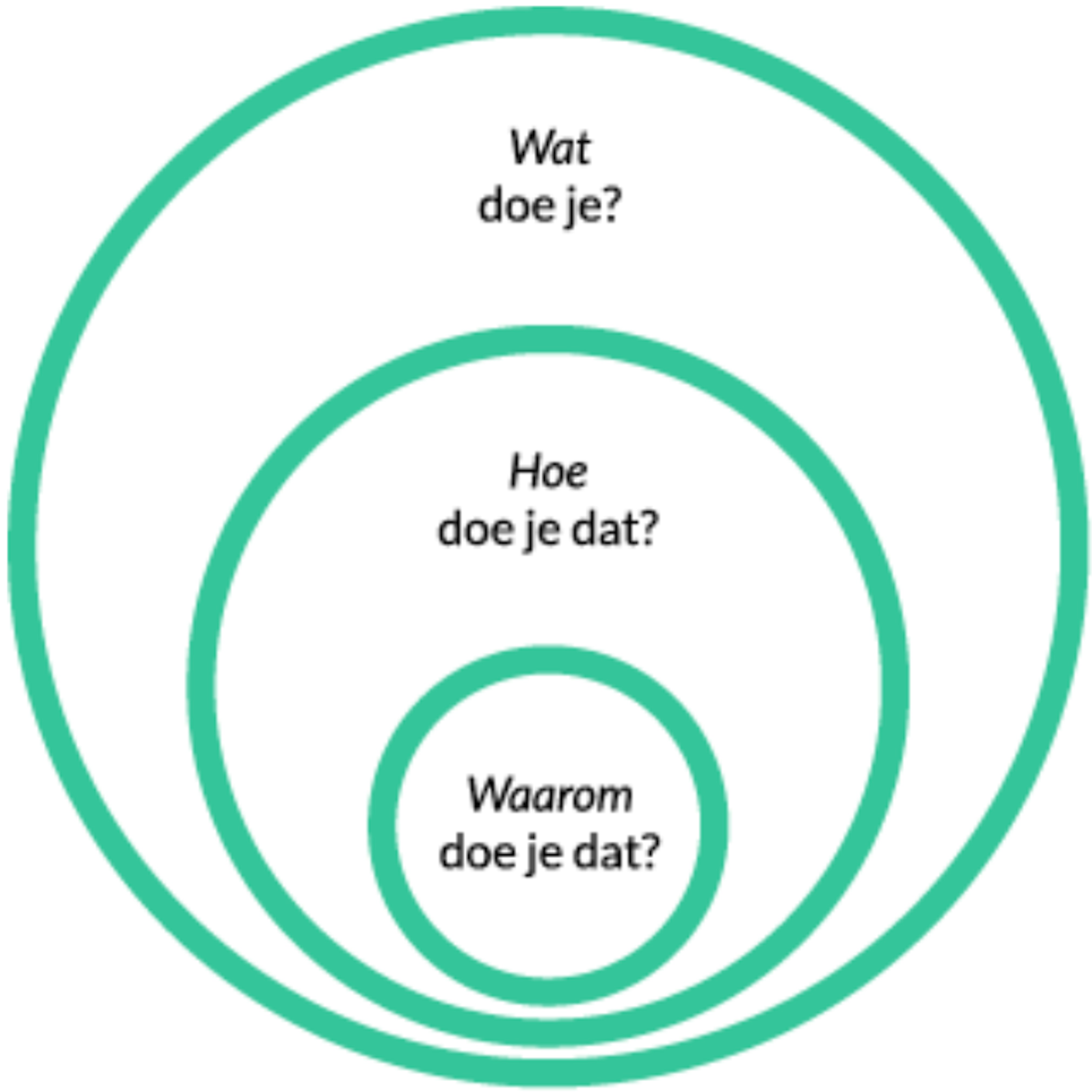 Focus Kiezen Focus Kiezen