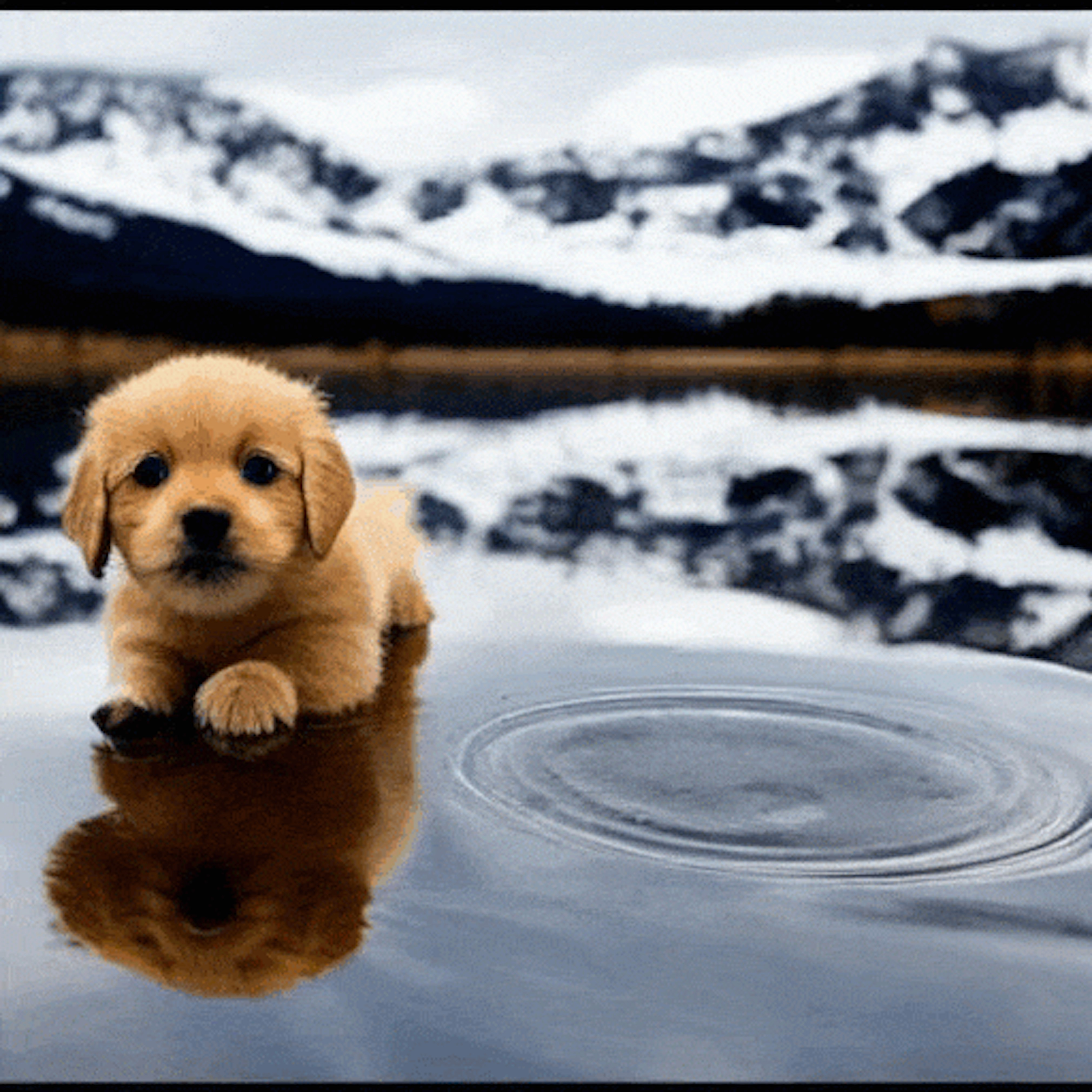 Two minute papers Two minute papers