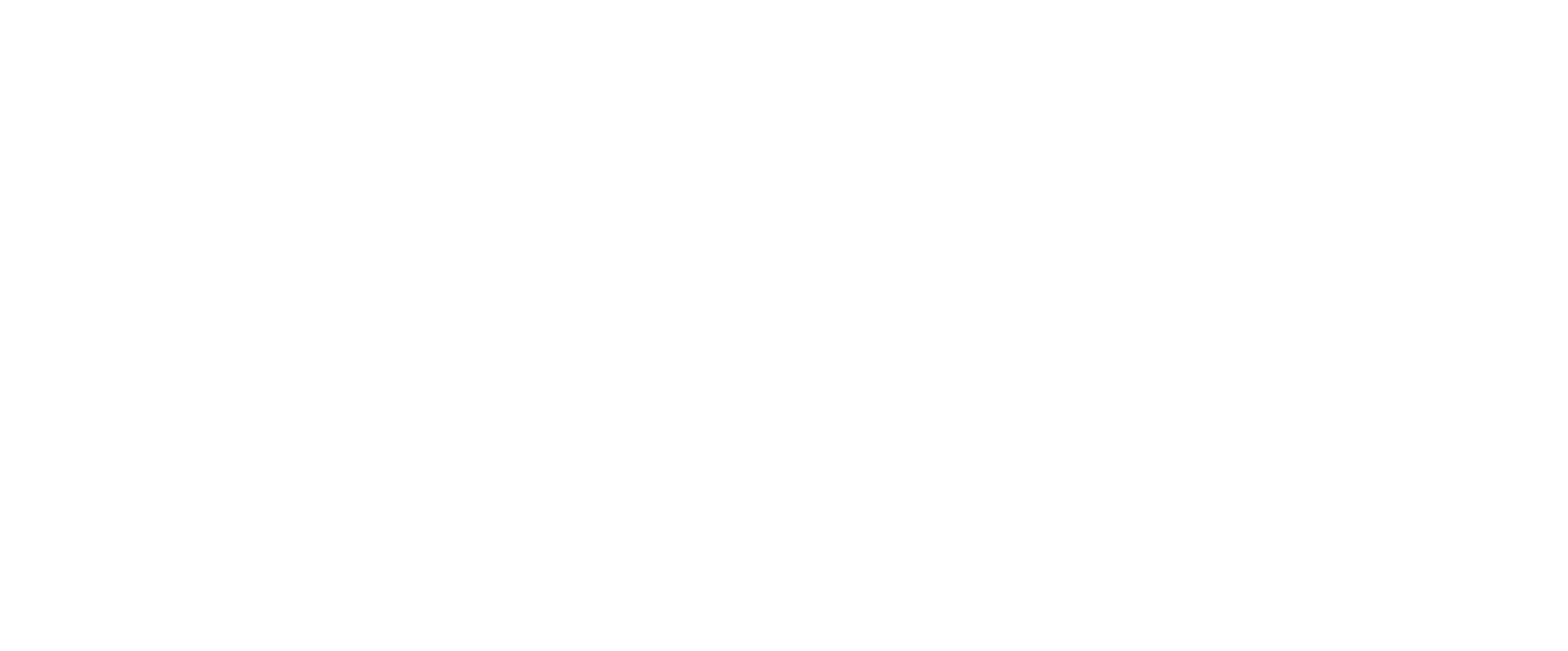 VLAIO sponsorlogo transparant