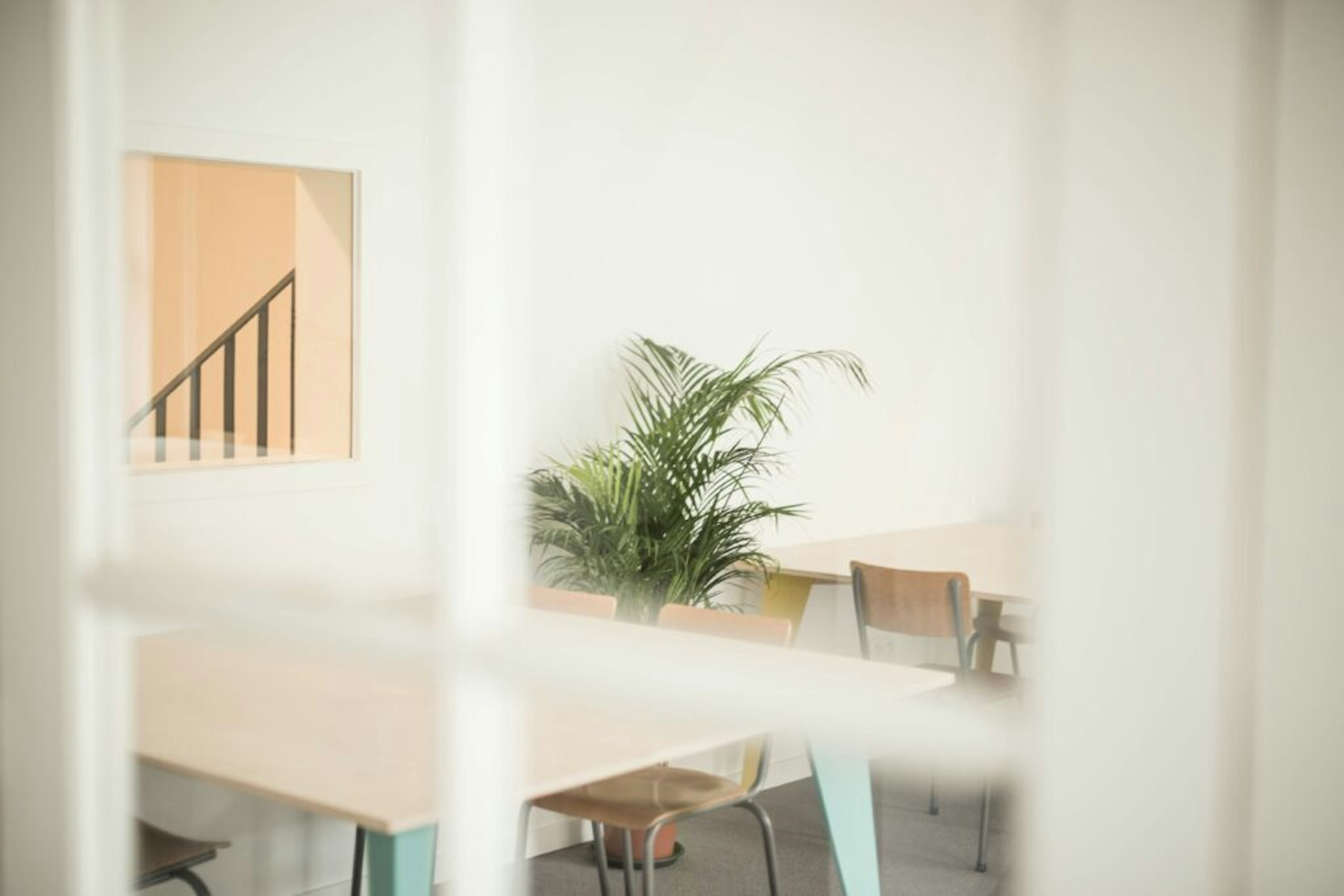 Bloudruk kantoor Femke Vanbelle van Bloudruk over de transitie van studio naar agency