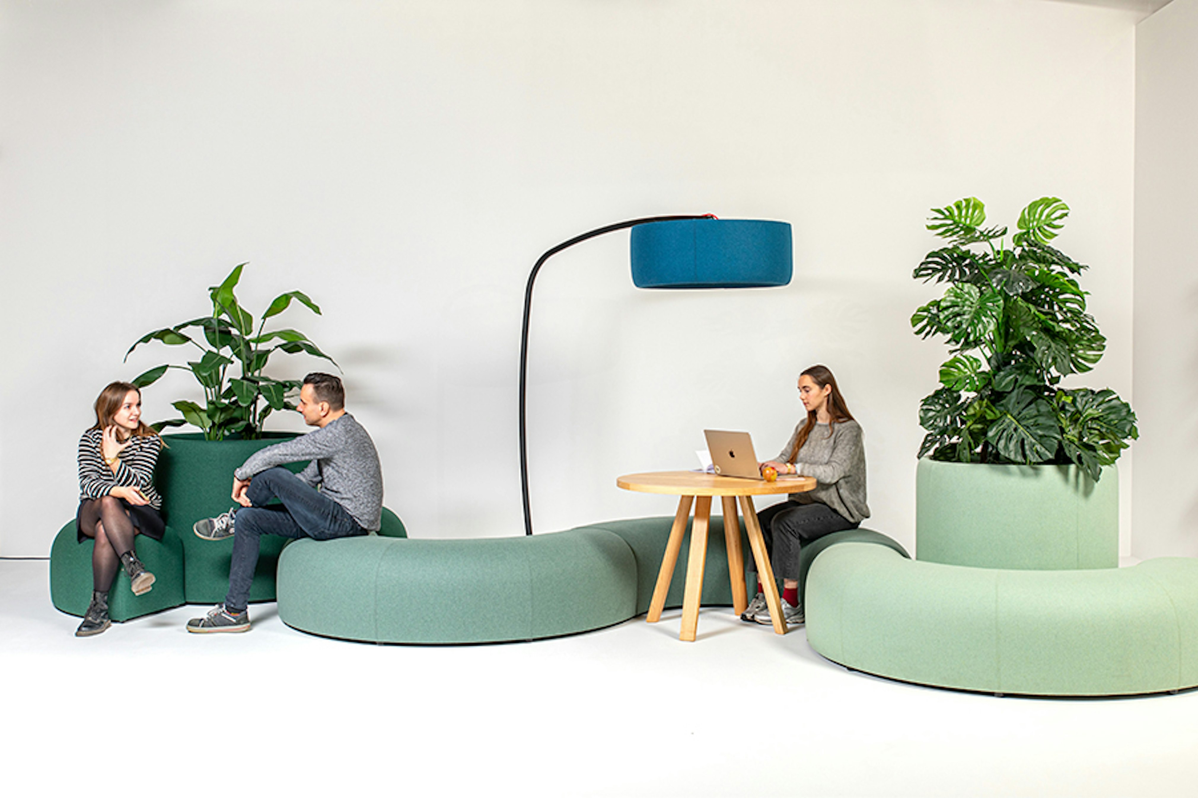 Buzzicee buzziplanter lr