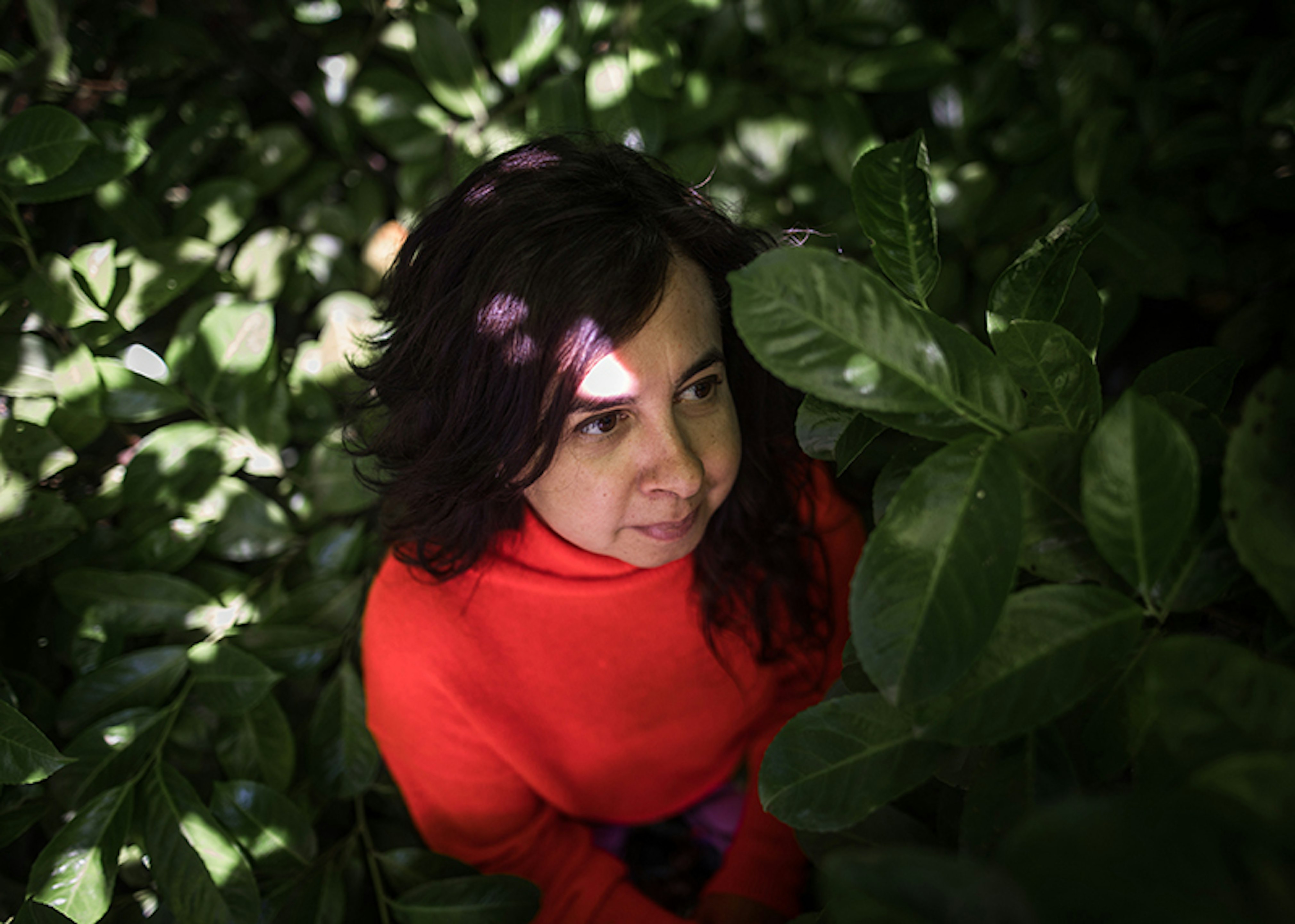 Daisy plas studio nunu Daisy Plas © Studio Nunu