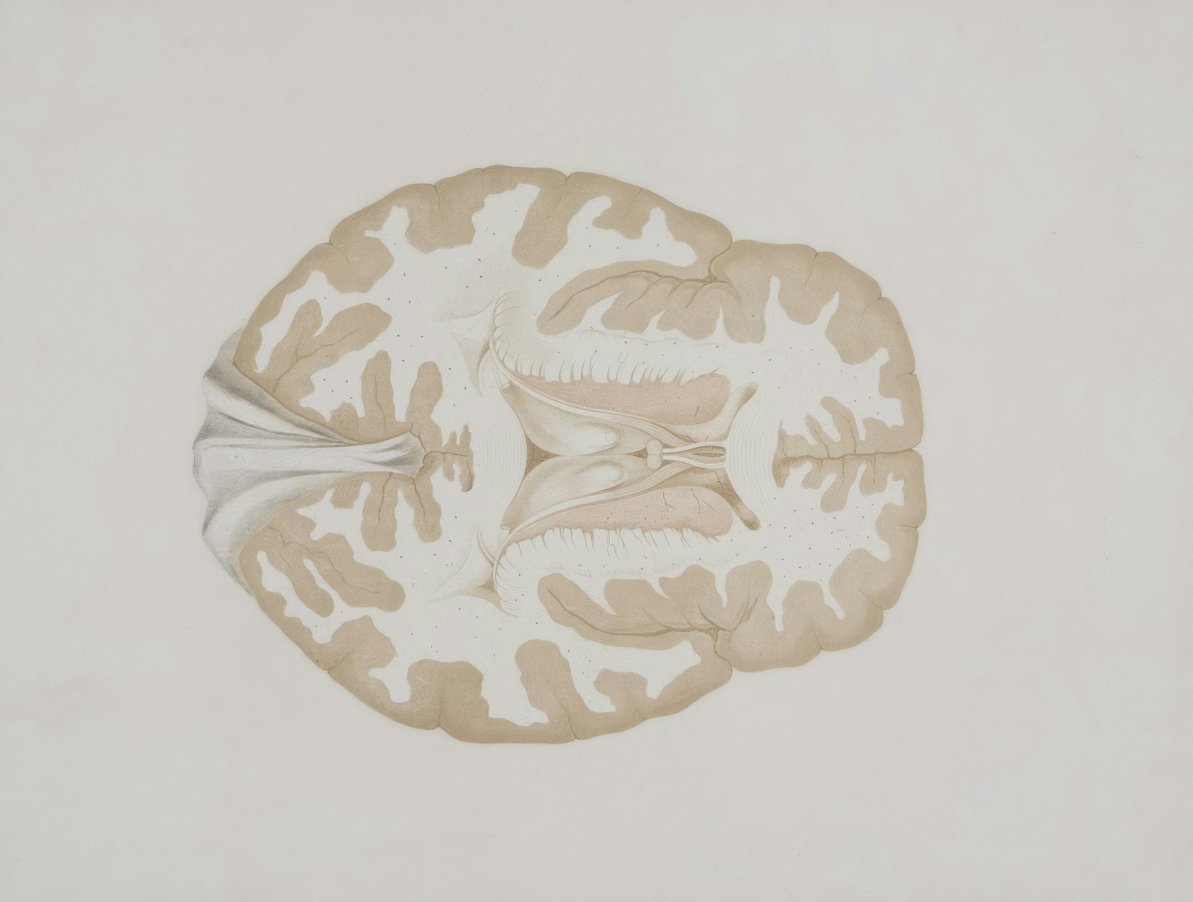 Europeana Stg Bb ODEW Ps unsplash