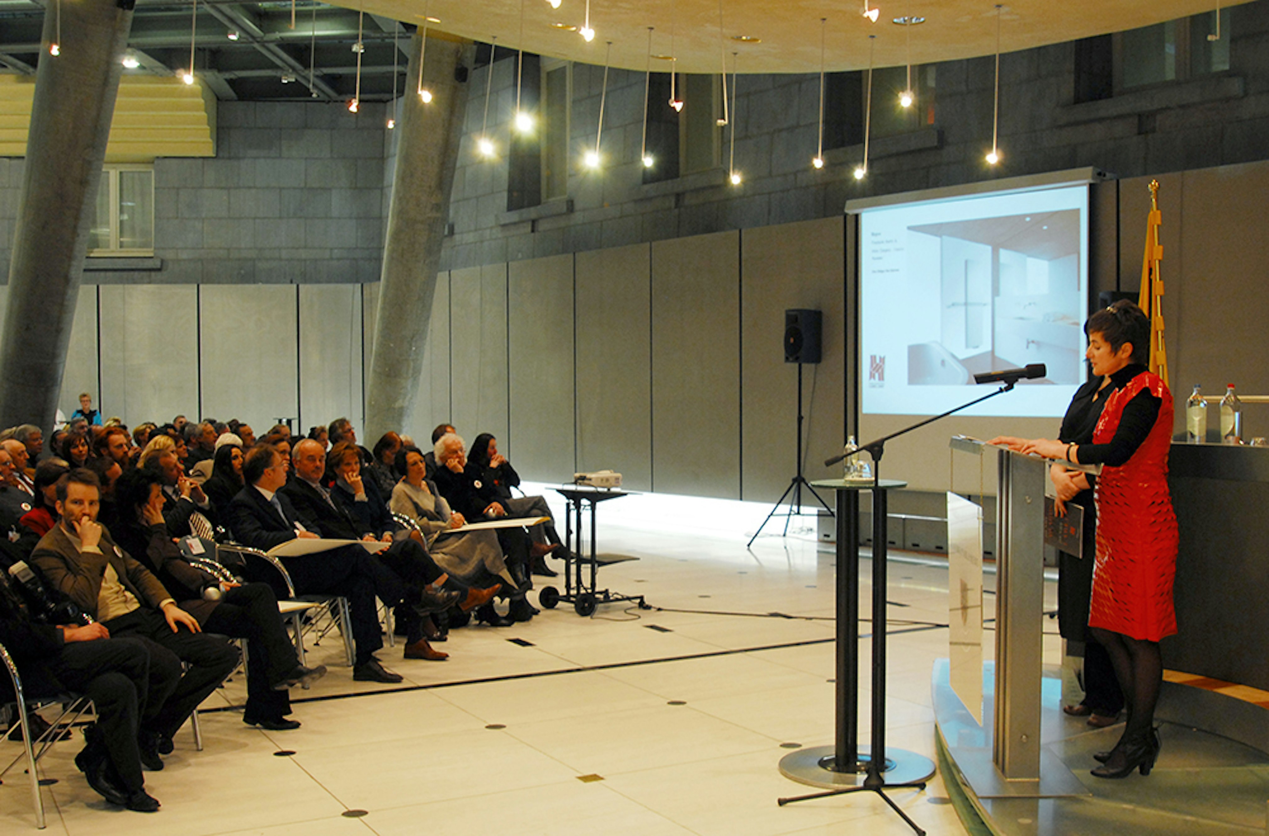 Hvdv07 c michael de lausnay 11 Hvdv07 c michael de lausnay 11