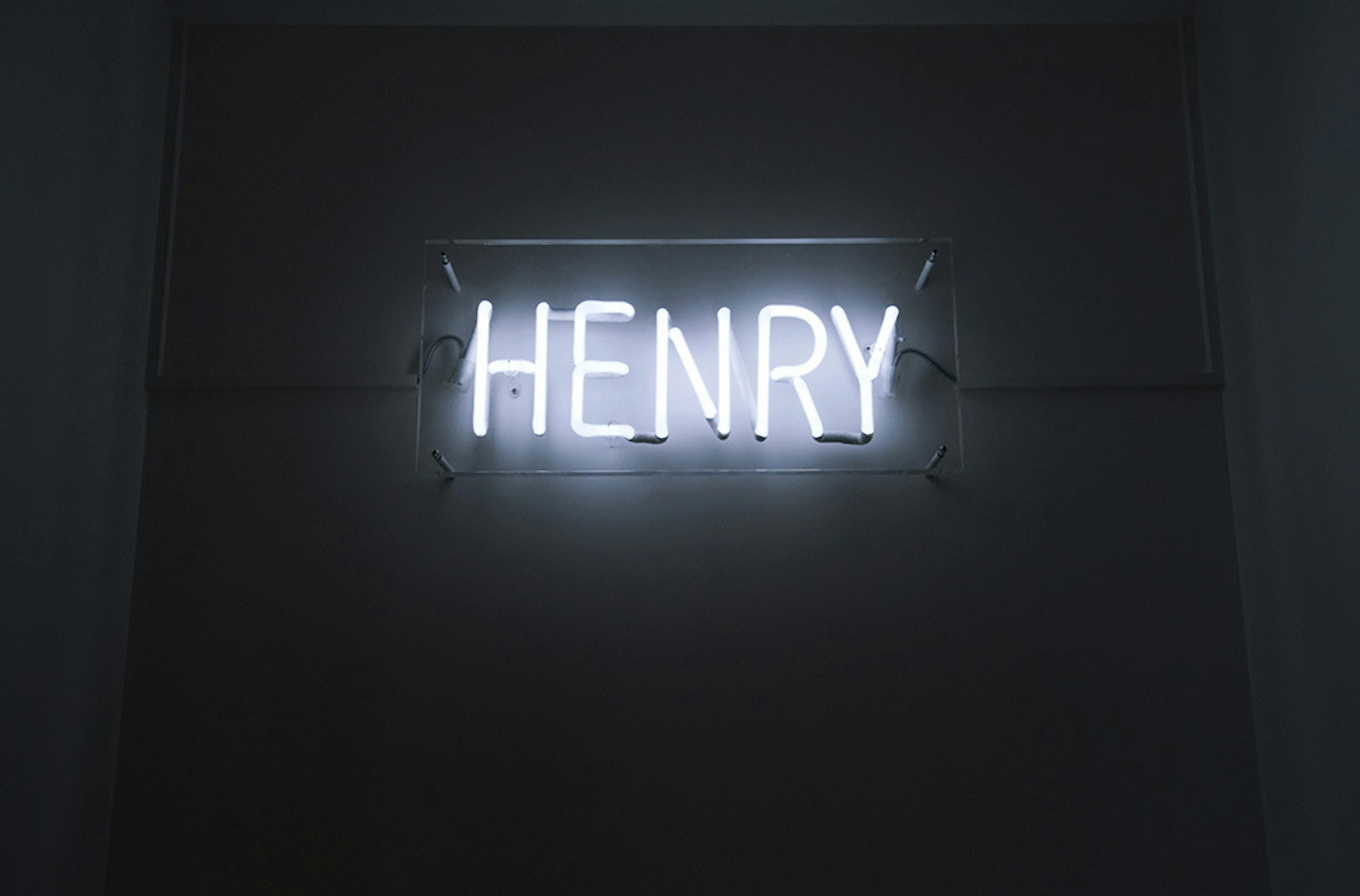 Hvdv09 c michael de lausnay 4 Hvdv09 c michael de lausnay 4