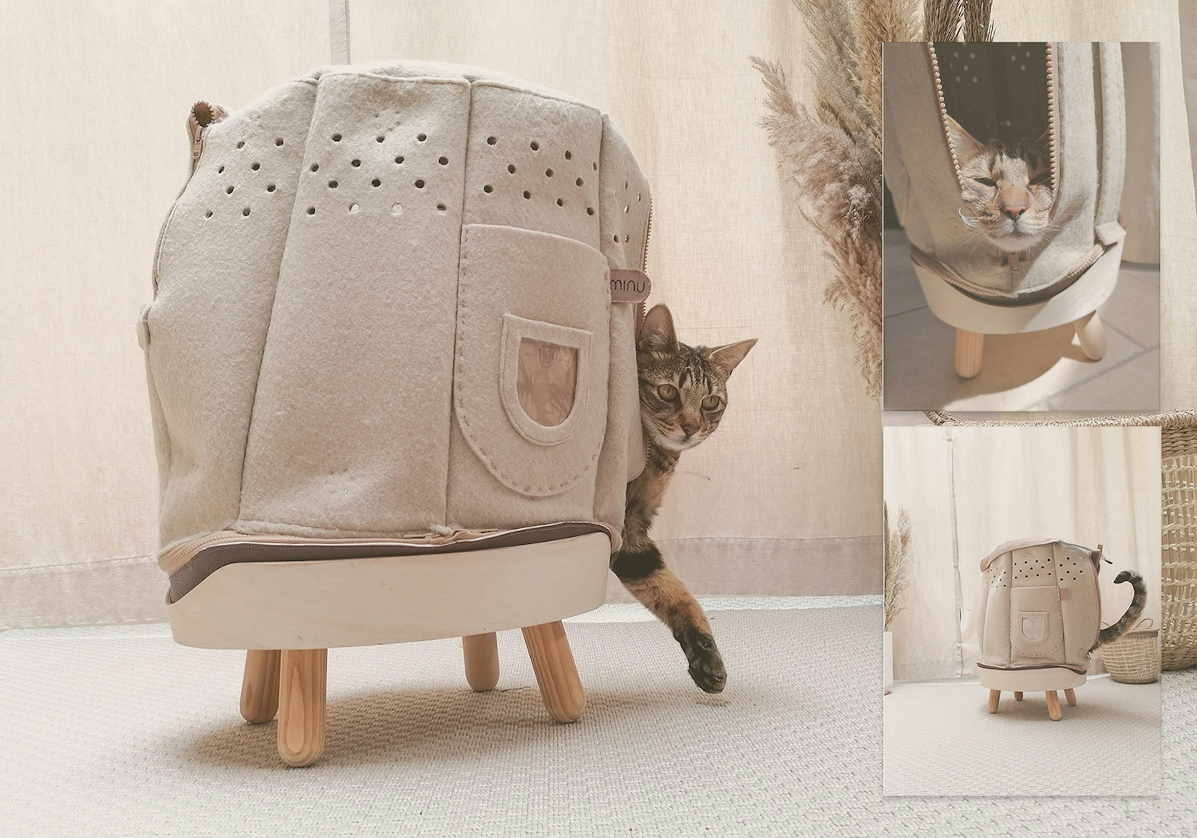 Jasmien de hoon Jasmien de Hoon, Universiteit Antwerpen