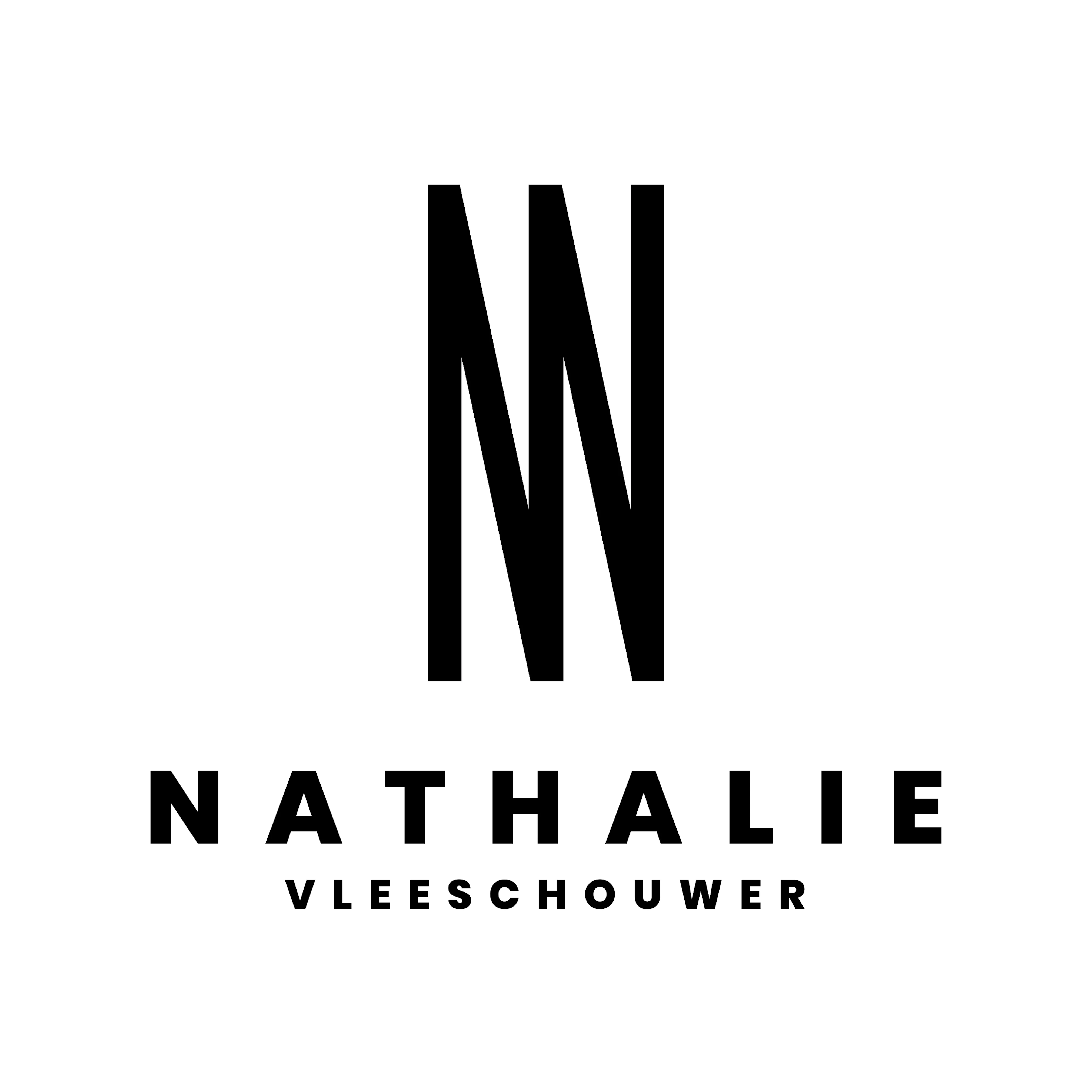 Logo NV NV