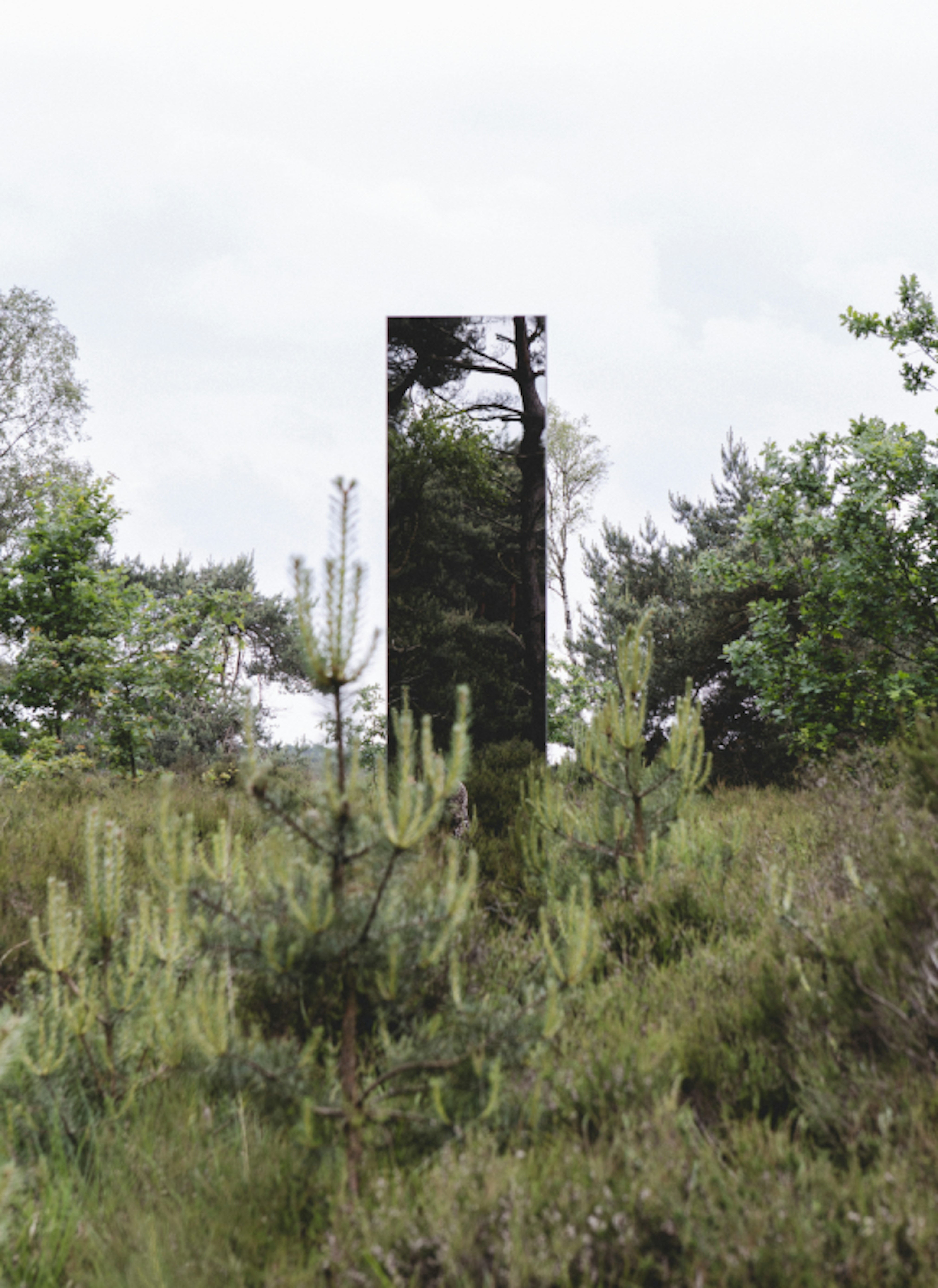 Mirror monolith jonas van put c hanne fransen 550x755 Mirror monolith jonas van put c hanne fransen 550x755