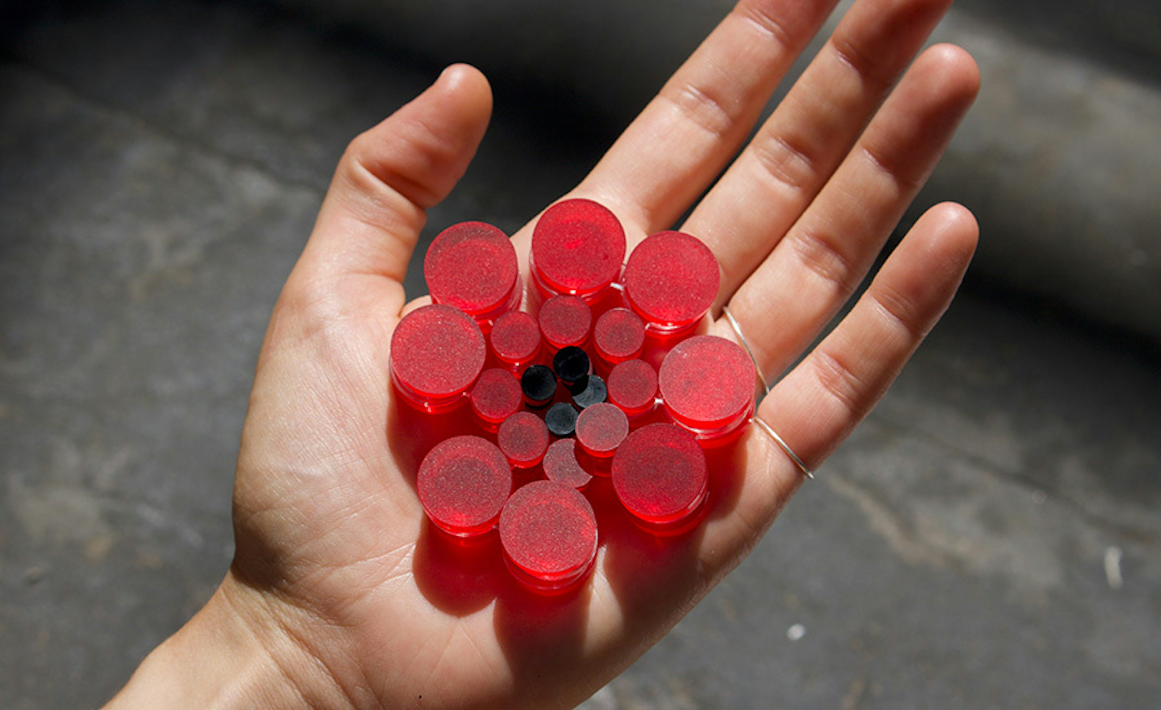 Nelle brackeva 1 Nelle brackeva 1