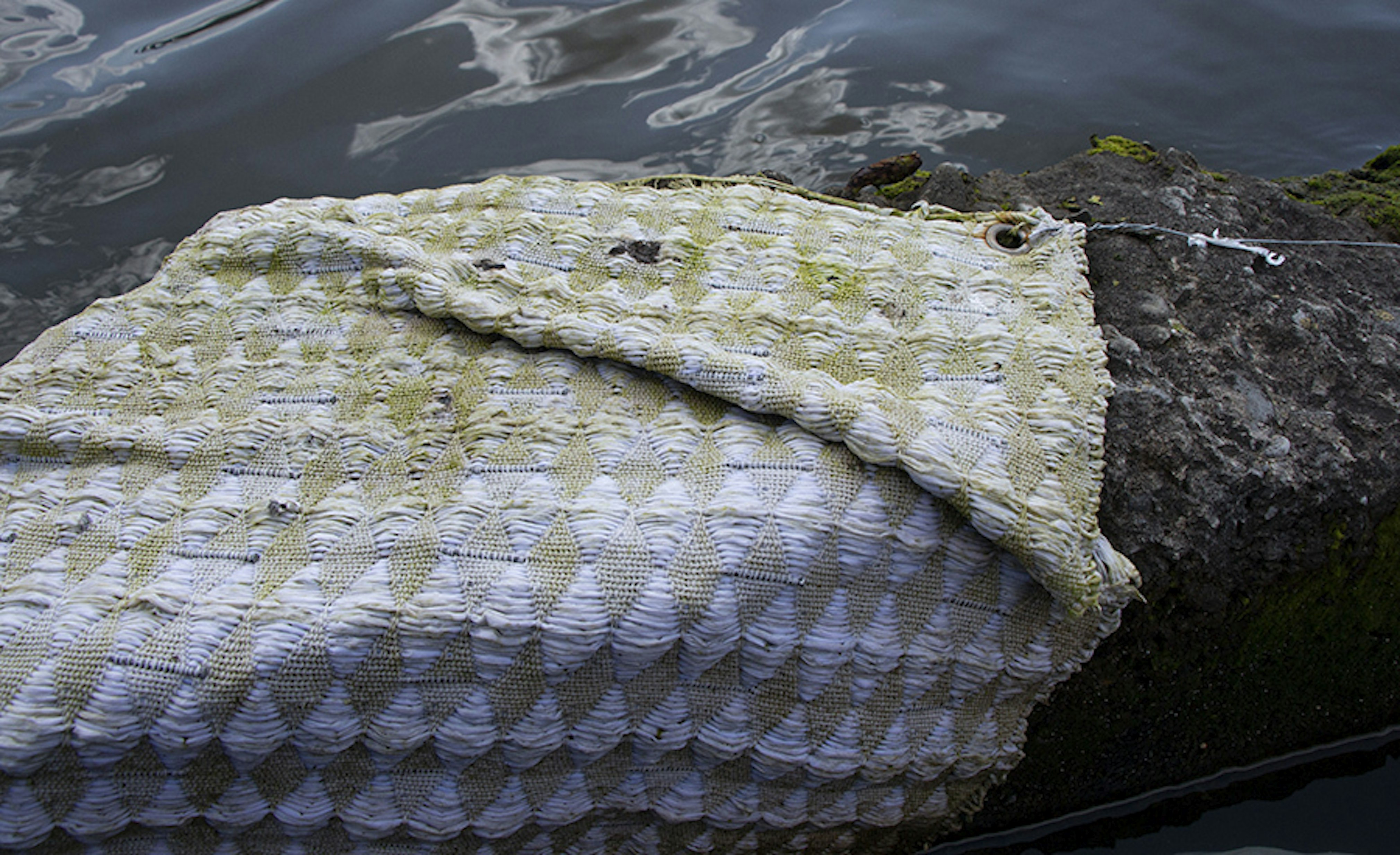 Nora hendriks Nora hendriks