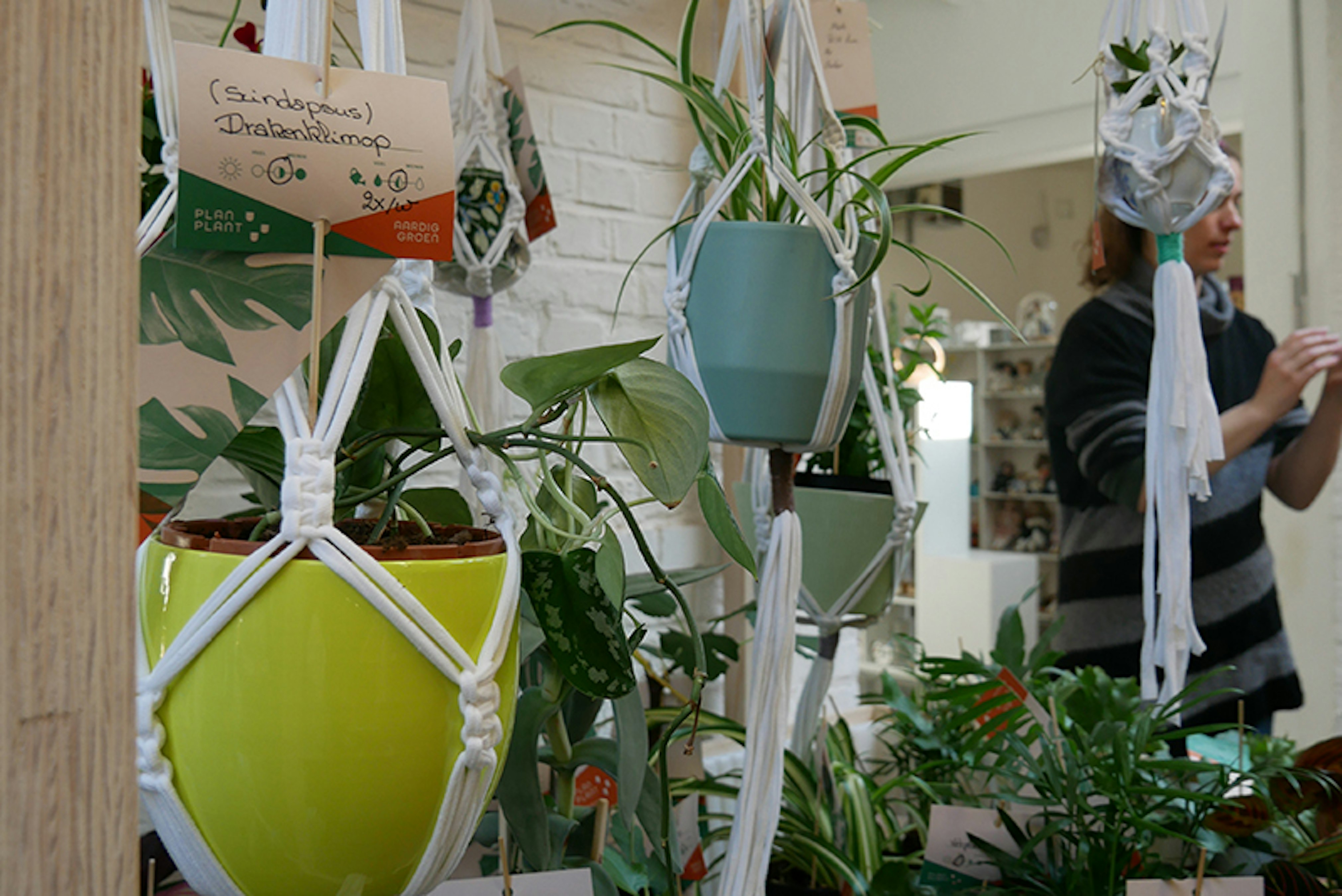 Plantaardig groen Project Plantaardig Groen, Kringwinkel Open Plaats voor Volmaakt