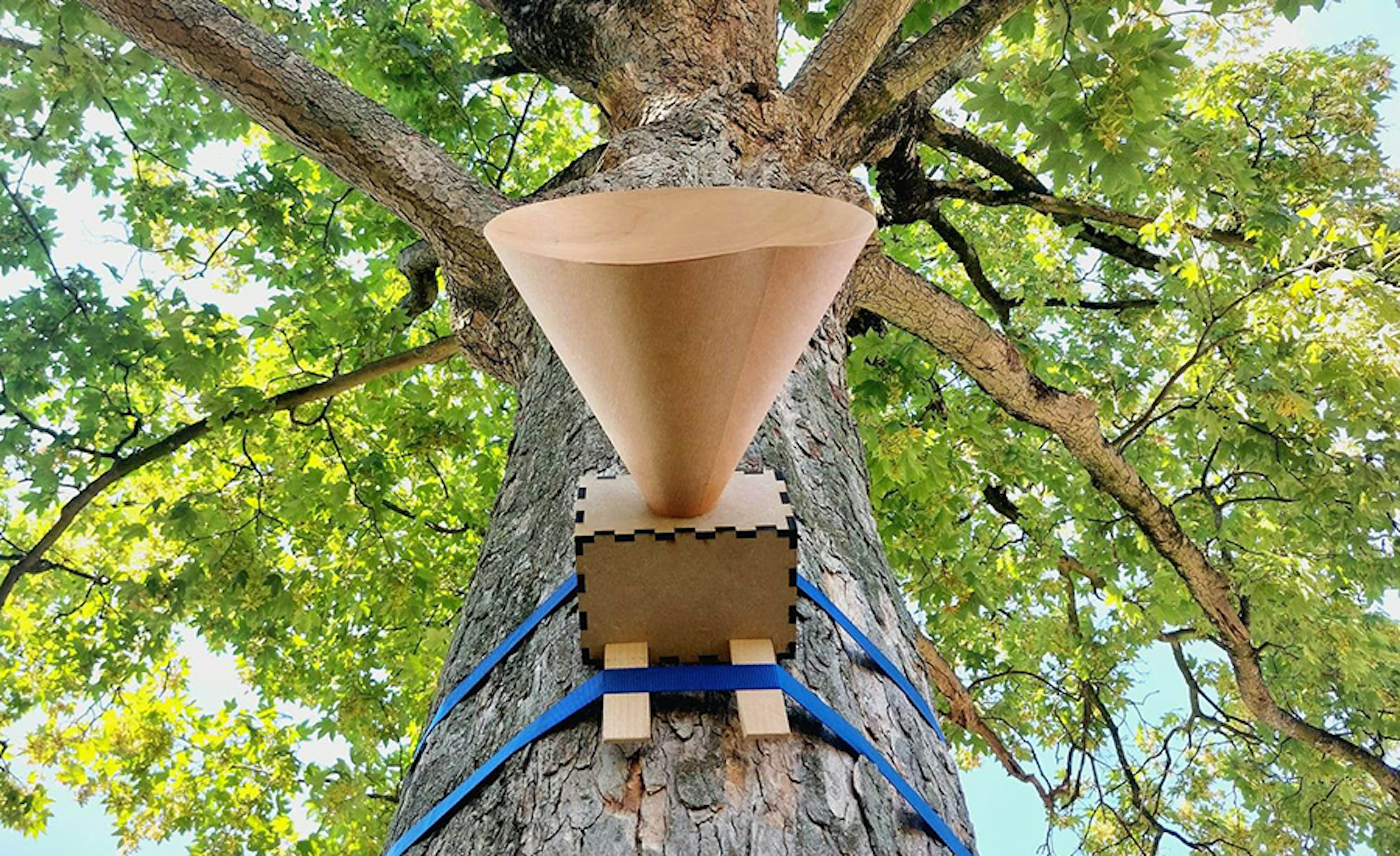 Sophia van sloun Sophia van sloun