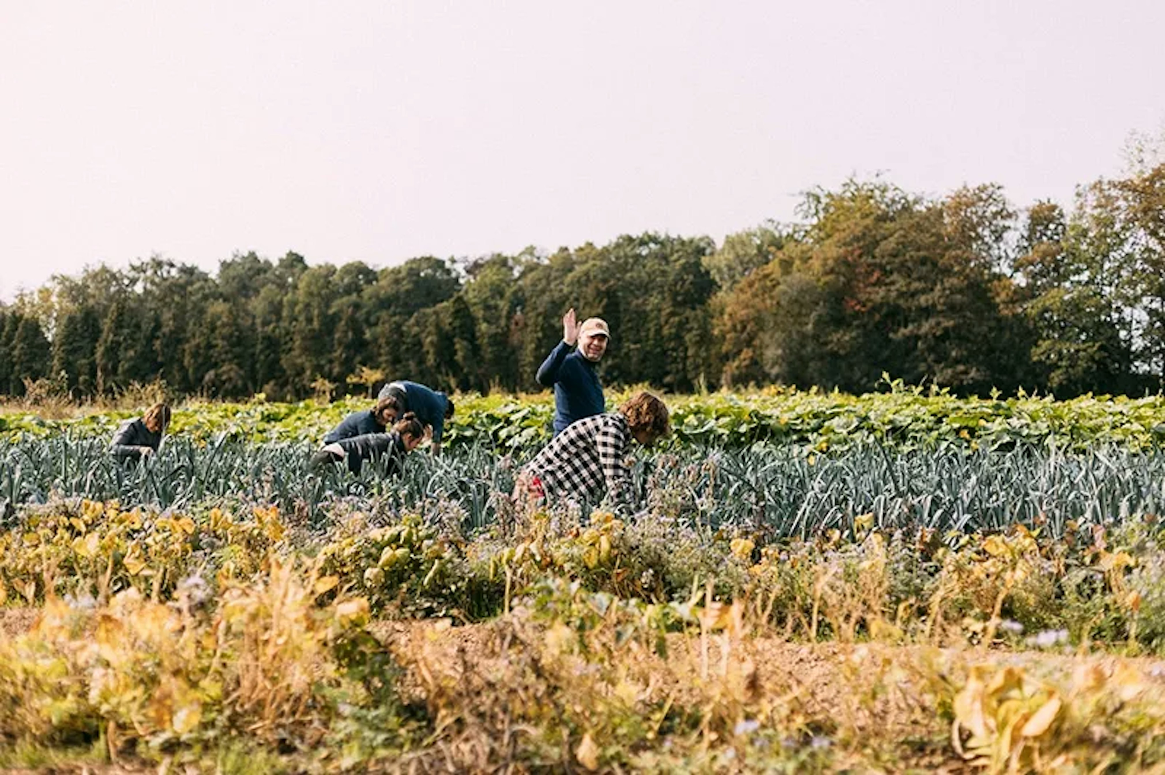 Statik vrijwilligerswerk lr